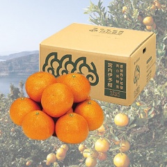 Q@FaYu{悩v/ʓW[V[ŖFȍƊÖ